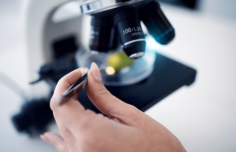 位相差顕微鏡の写真