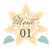 merit01